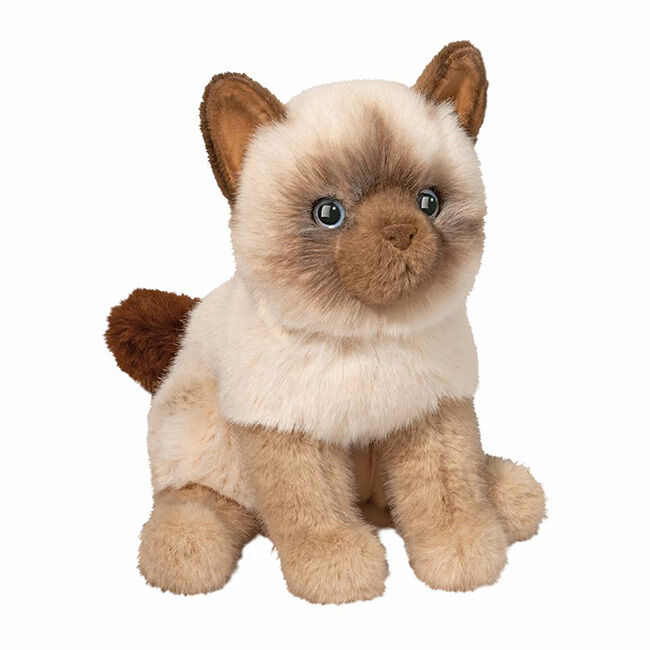 Douglas Fu the Siamese Cat image number null