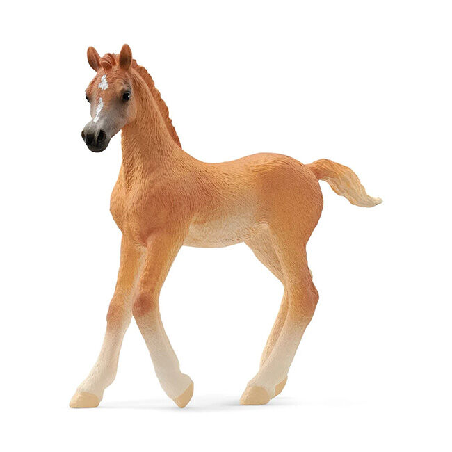 Schleich Arabian Foal image number null