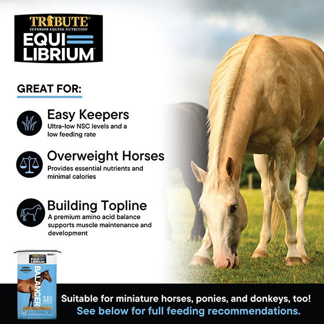 Tribute Equi-Librium Balancer - 50 lb image number null