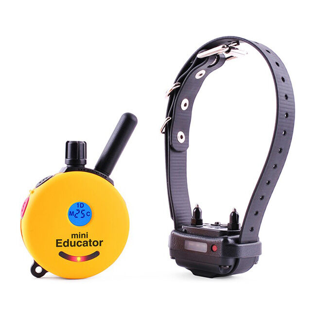 E-Collar Technologies ET-300 Mini Educator 1/2 Mile Remote E-Collar - Biothane Collar Strap image number null