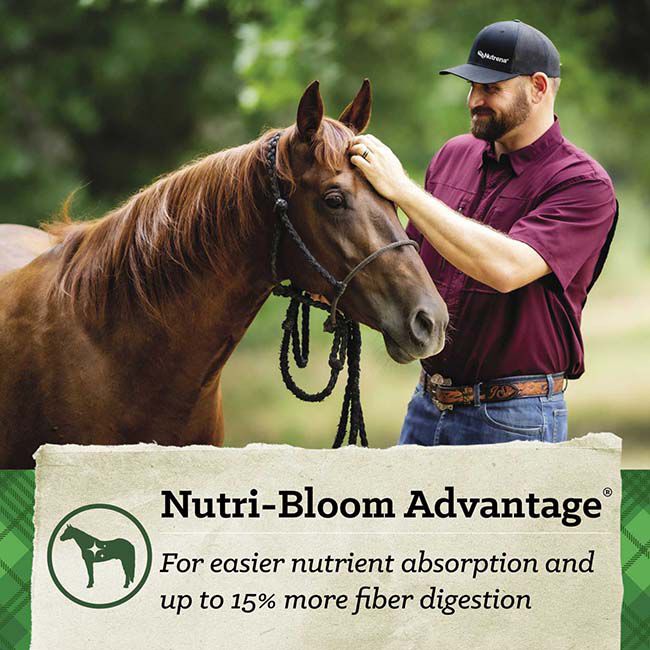 Nutrena SafeChoice Senior Molasses Free - 50 lb image number null