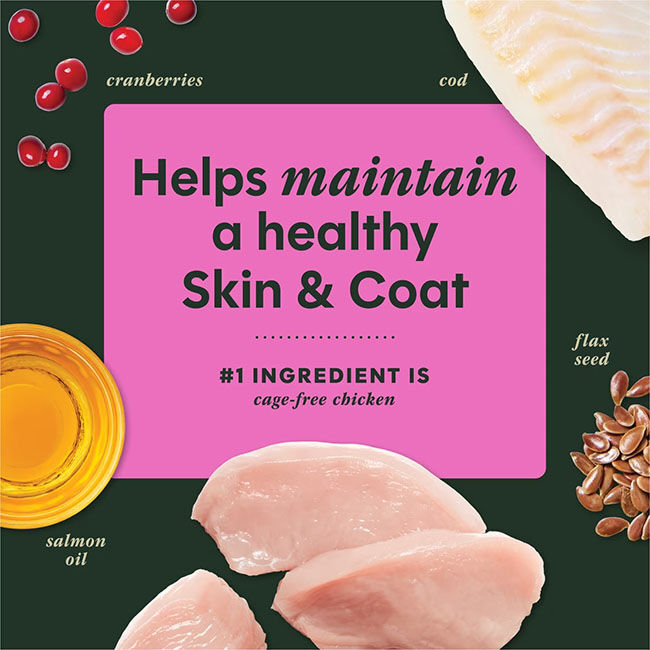 Instinct Raw Boost Mixers for Dogs - Skin & Coat Health Recipe image number null