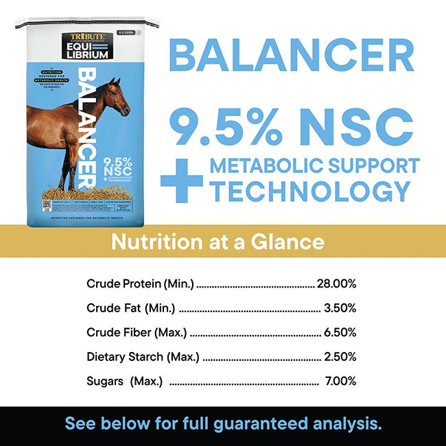 Tribute Equi-Librium Balancer - 50 lb image number null