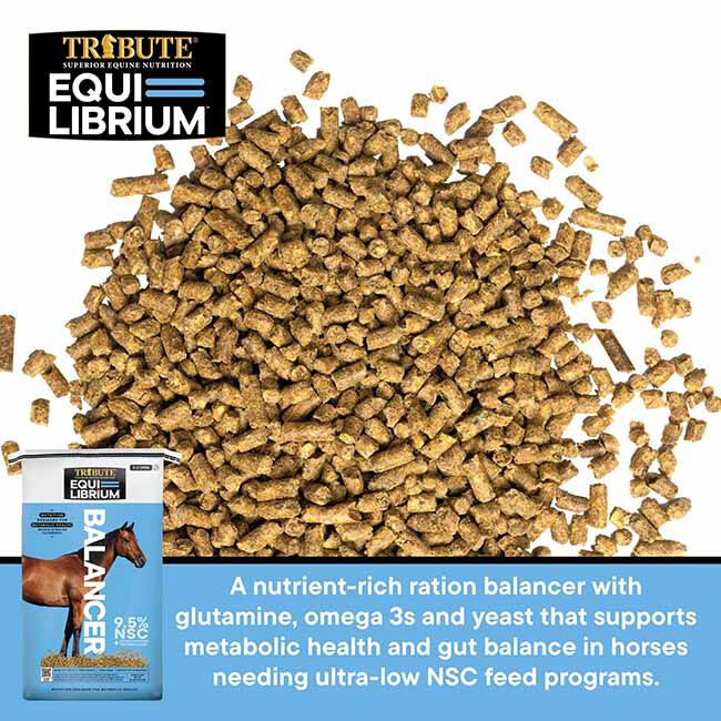 Tribute Equi-Librium Balancer - 50 lb image number null