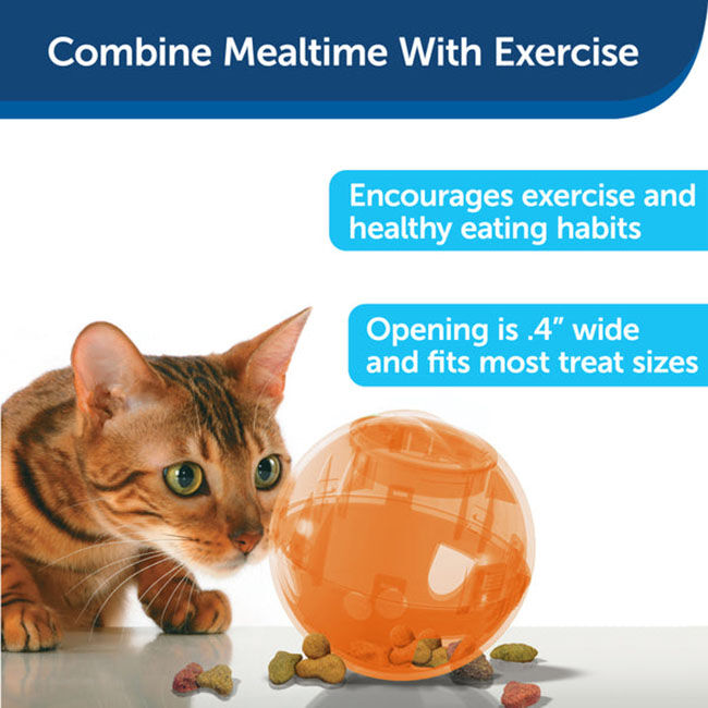 PetSafe SlimCat Interactive Feeder image number null