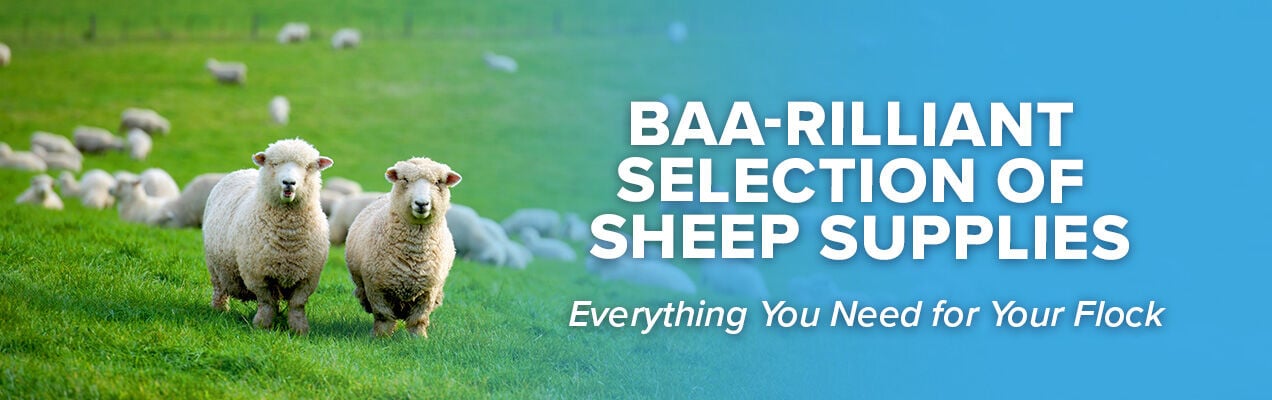 Baa-rriliant Sheep Supplies 