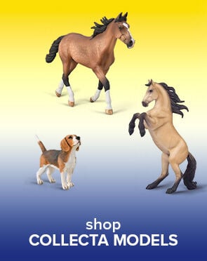 CollectA Models
