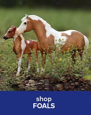 Foals