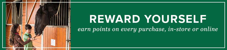 Reward Yourself and Your Pets