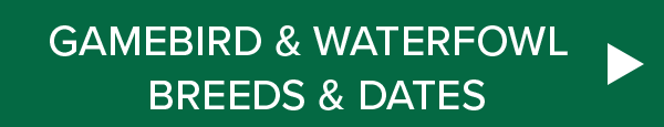 Download Game Birds and Waterfowl Breeds and Dates >