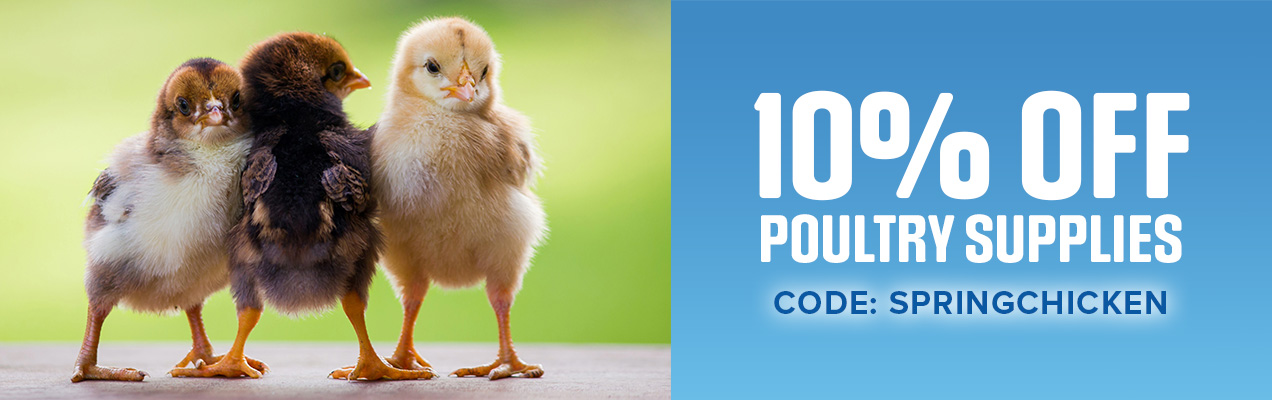 10% Off Poultry Supplies