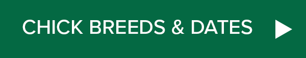 Download Chick Breeds and Dates >