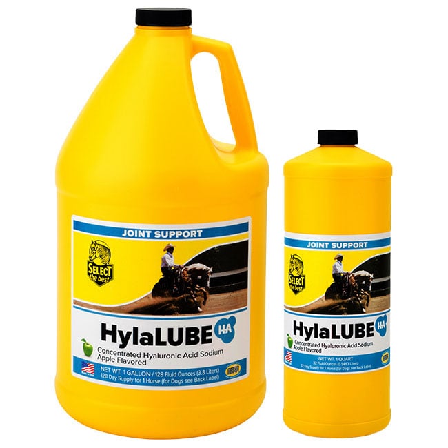Select the Best HylaLUBE | The Cheshire Horse