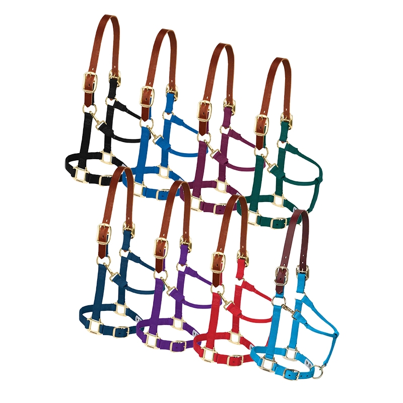 Weaver Breakaway Nylon Halter The Cheshire Horse