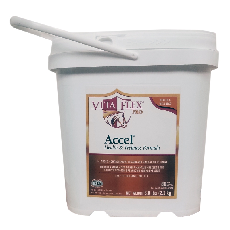 Vita-Flex Pro Accel Health & Wellness Formula