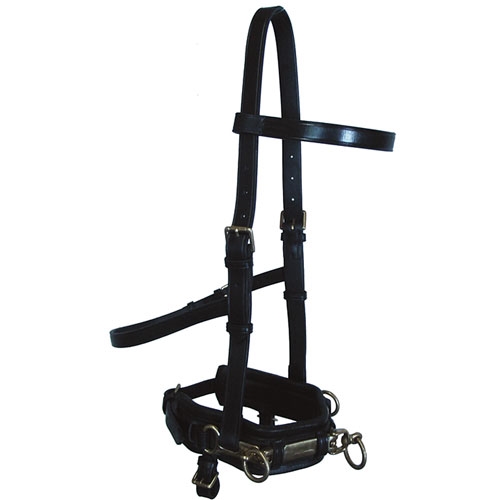 Muserolle Bobby's English Tack - Noire Lisse - Flash Rembourré - Taille COB (occasion)