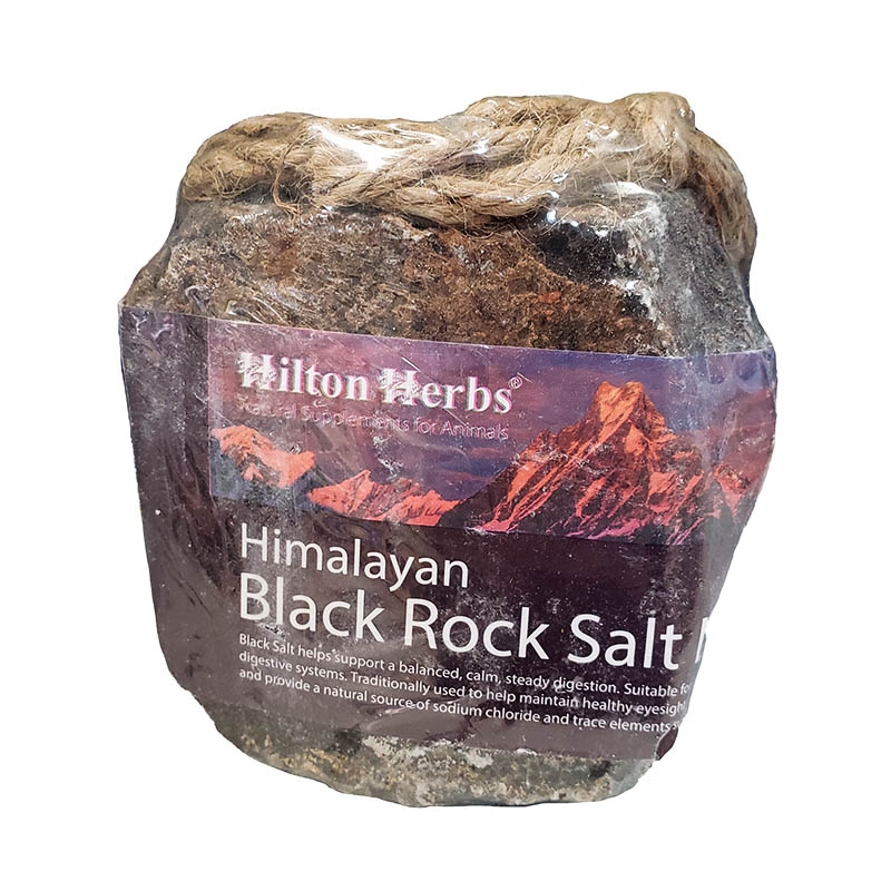 Hilton Herbs Himalayan Black Rock Salt Lick The Cheshire Horse