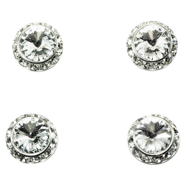 Finishing Touch of Kentucky Tack Pins Crystal Stone The