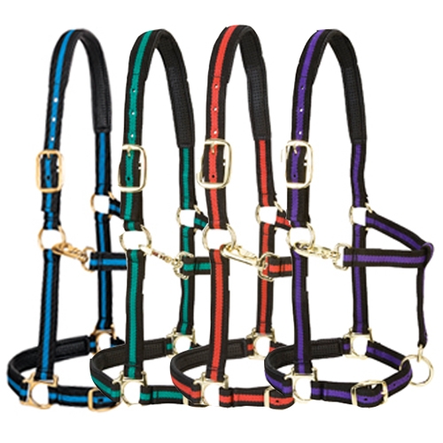 Weaver Padded Adjustable Nylon Halter The Cheshire Horse