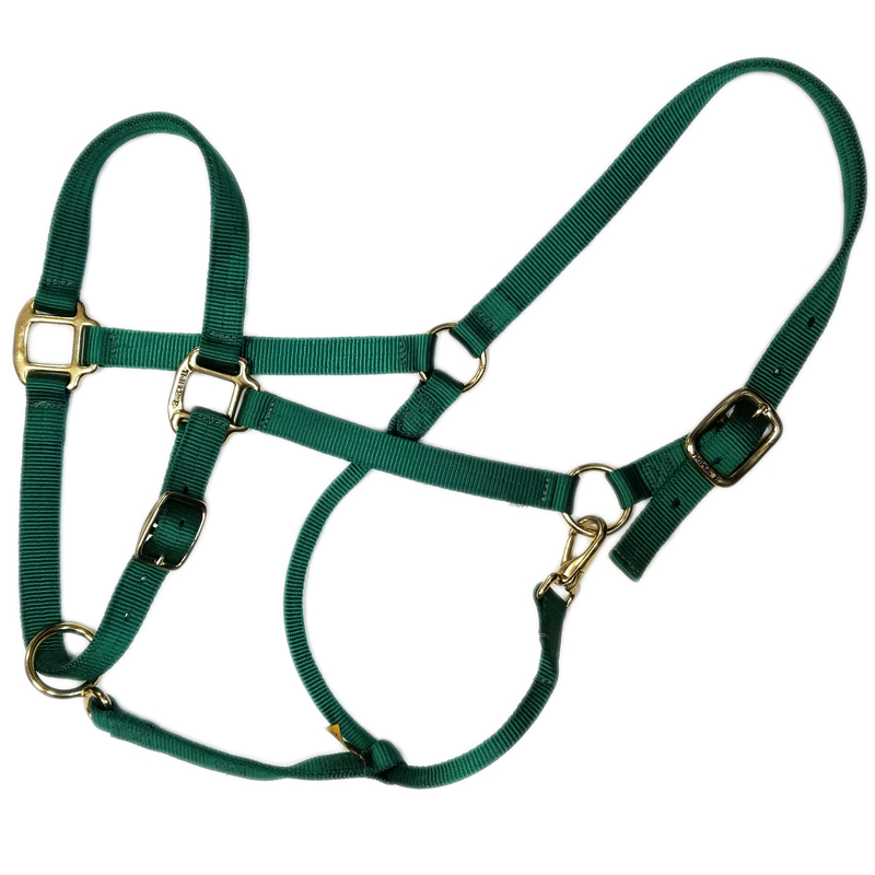 Triple E 1” Adjustable Nylon Draft Halter The Cheshire Horse