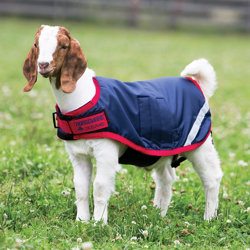 Horseware ireland coat new arrivals