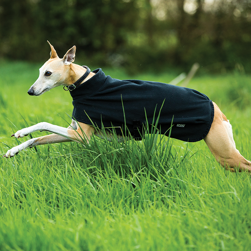 amigo dog coat