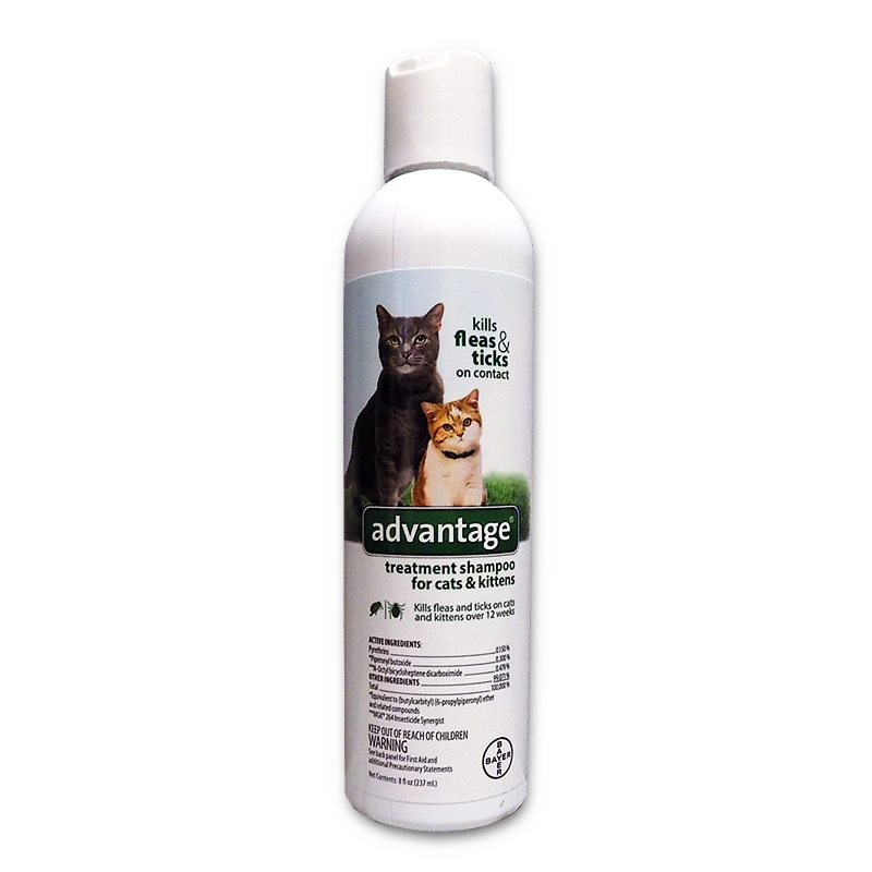 advantage flea shampoo