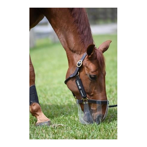 Thinline Flexible Filly Slow Feed Grazing Muzzle The Cheshire Horse