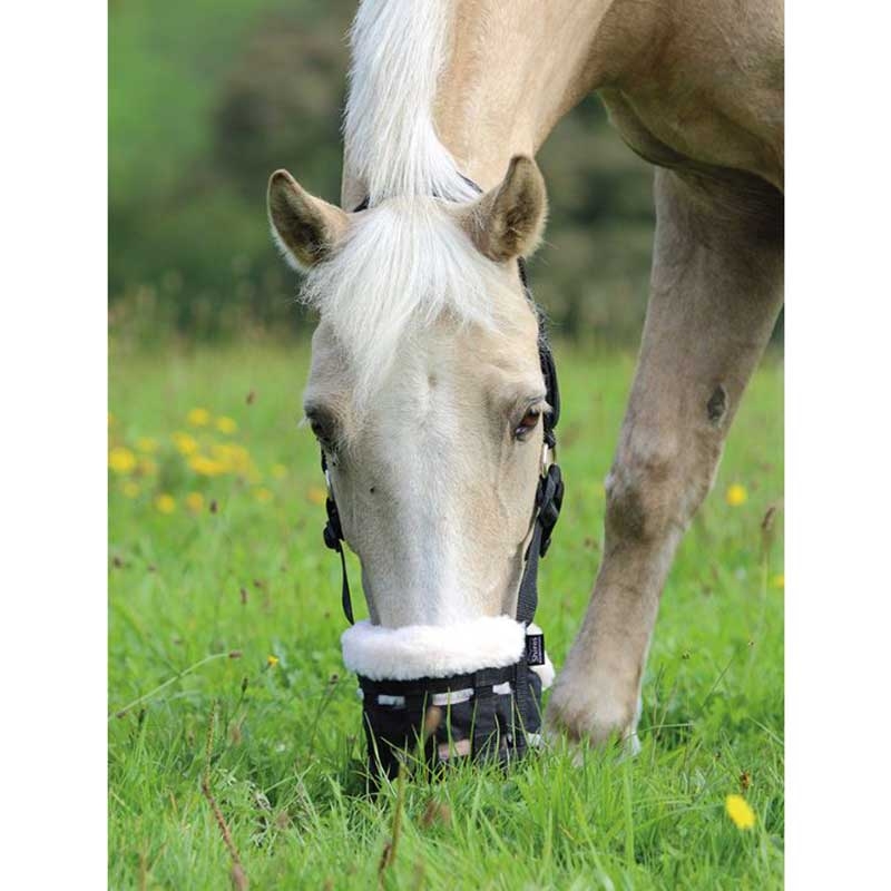 grazing muzzle for dogs