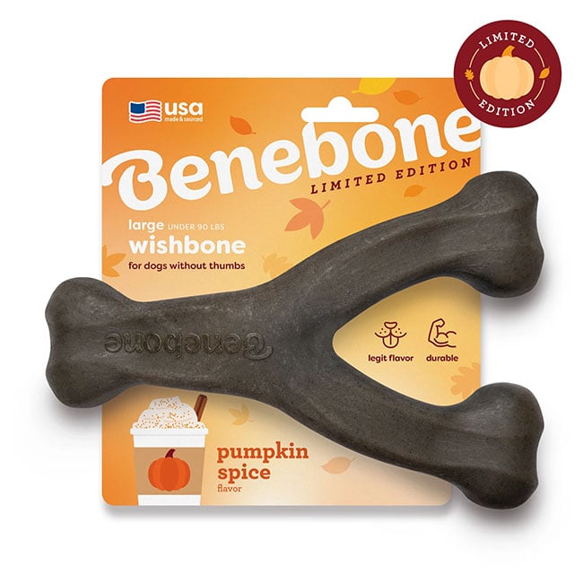Benebone Wishbone Dog Chew - Pumpkin Spice Flavor | The Cheshire Horse