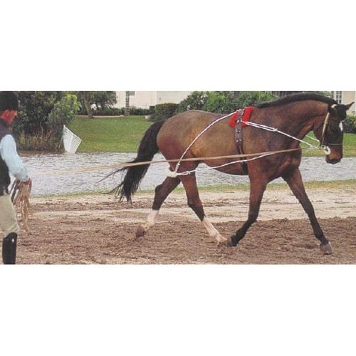 Pessoa Lunging System Horse The Cheshire Horse