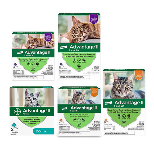Advantage Ii Dosage For Cats BAYER ADVANTAGE II FOR CATS FLEA