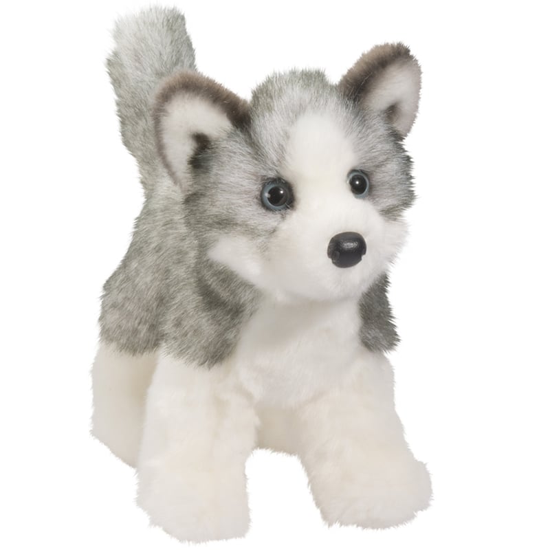 Douglas Blaze the Husky | The Cheshire Horse