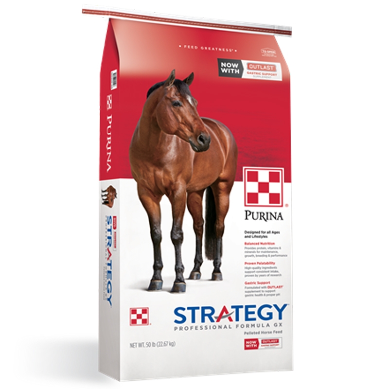 Purina Strategy Professional Formula GX Horse Feed