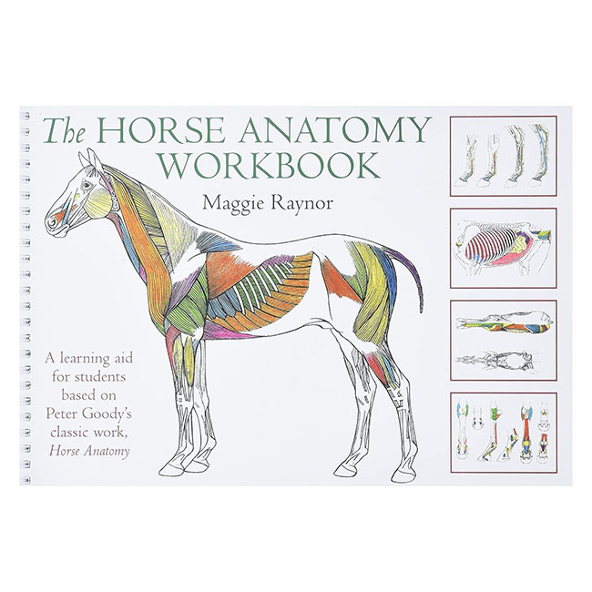 Horse Anatomy Workbook: A Learning Aid for Students Based on Peter ...