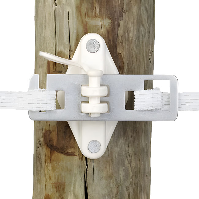 Dare Tape Splicing Buckle & Gate Anchor - 5-Pack | The Cheshire Horse