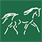 The Cheshire Horse